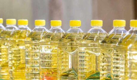 Sunflower Oil